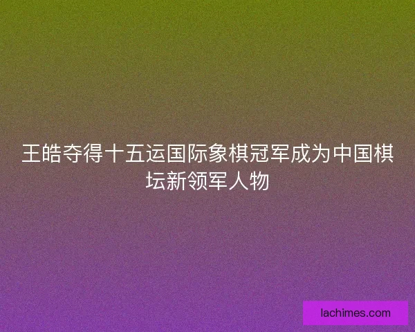 王皓夺得十五运国际象棋冠军成为中国棋坛新领军人物
